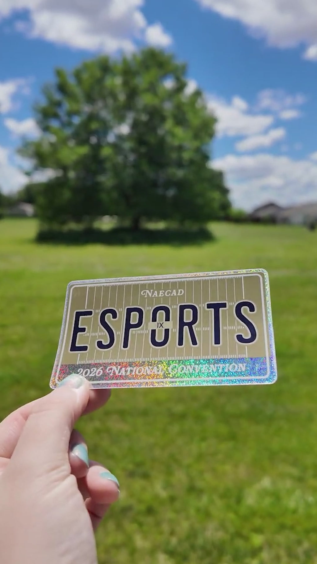 [Bundle] Everything Bundle (Sticker Sheet, NAECAD glitter, Reschedule glitter, flower, esports is for everyone)